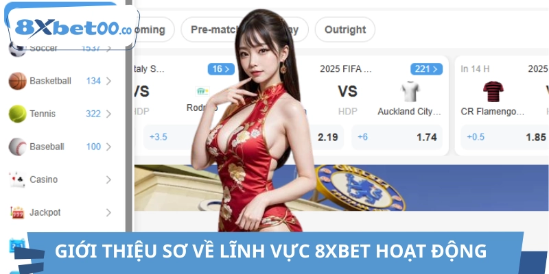 Khái quát về lĩnh vực hoạt động của 8XBET