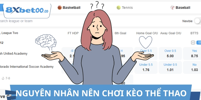 Nguyên nhân nên thử sức cá độ tại 8XBET